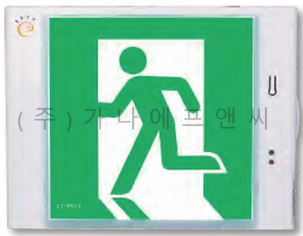 피난구 유도등 대형 (벽부형)